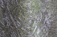 Hengrove Park fibreglass roof work